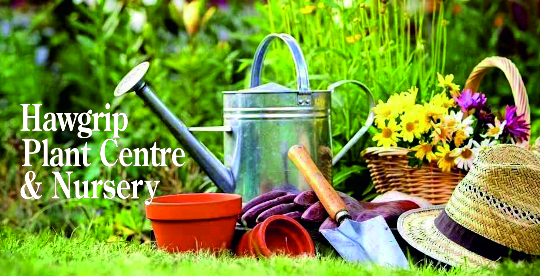 Hawgrip Plant Centre & Nursery