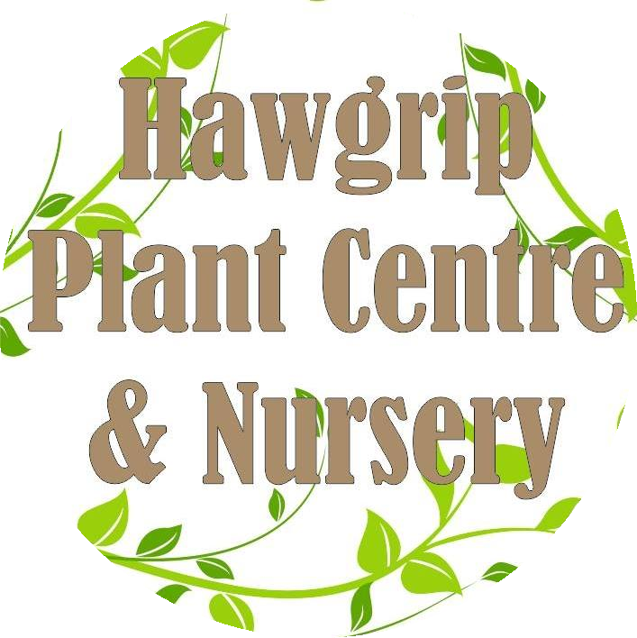Hawgrip Plant Centre & Nursery